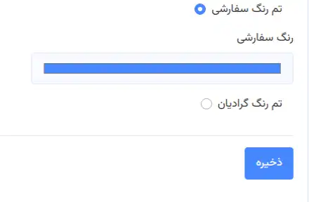 نمایی از بخش انتخاب رنگ سفارشی در پلتفرم ساخت اپلیکیشن، که به کاربر اجازه میدهد رنگهای دلخواه خود را برای طراحی ظاهر اپلیکیشن وارد کند